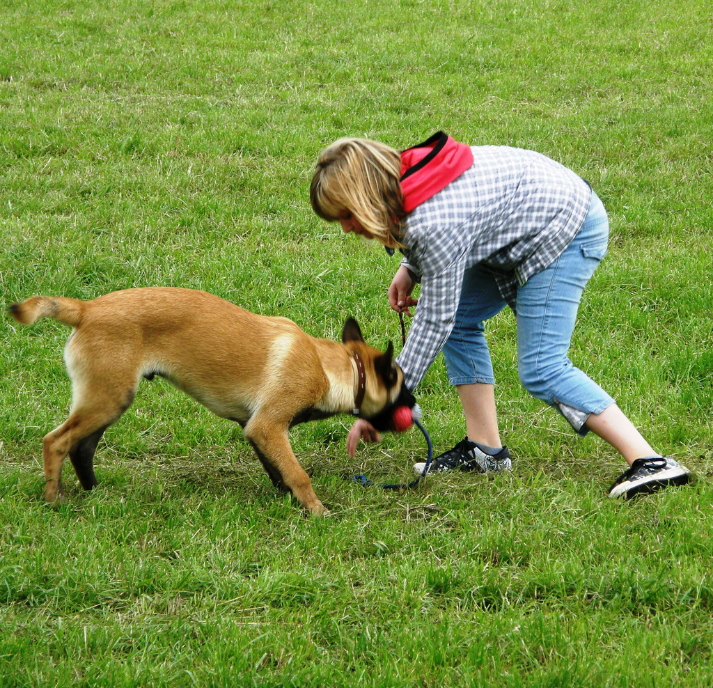 Streitthema Hundegebell: Kann man Bellen verbieten?